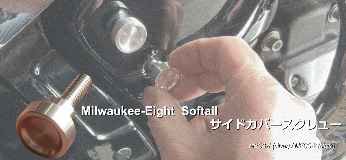 Harley-Davidson MW8 Softail サイドカバースクリュー